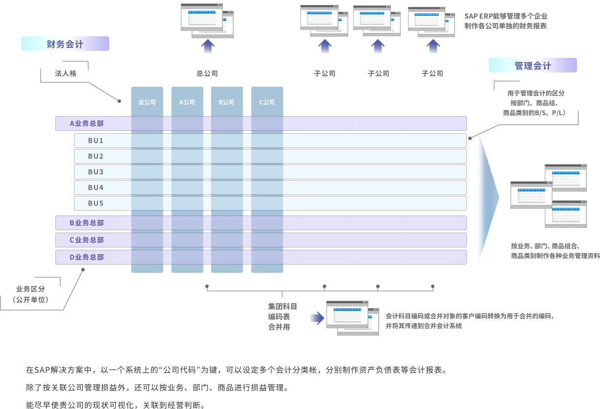 SAP explanatory diagram